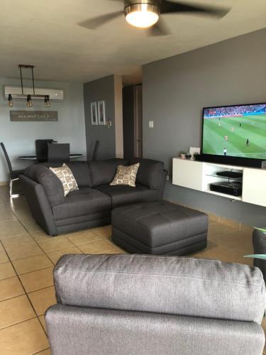Luxury Apartment