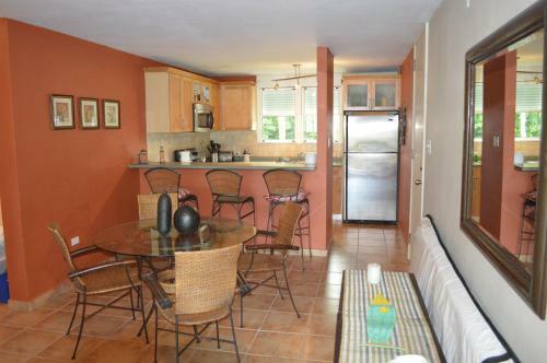 Beach Front Apartment Rio Mar Puerto Rico