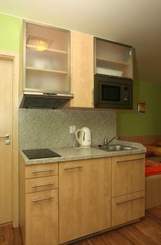 Apartm�ny Na Vina?sk�