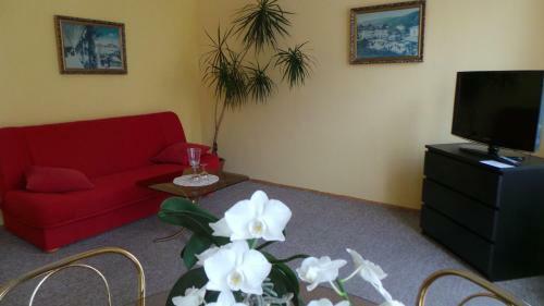Hostal Hotel Lu?n�