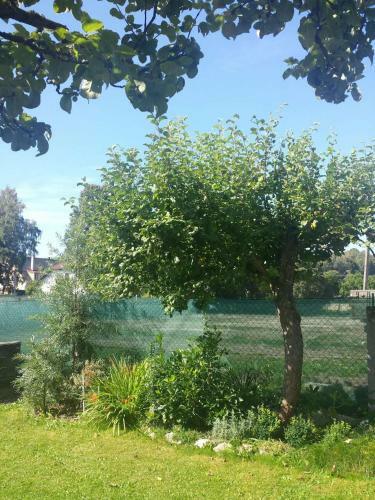 Apartm�ny Mike?