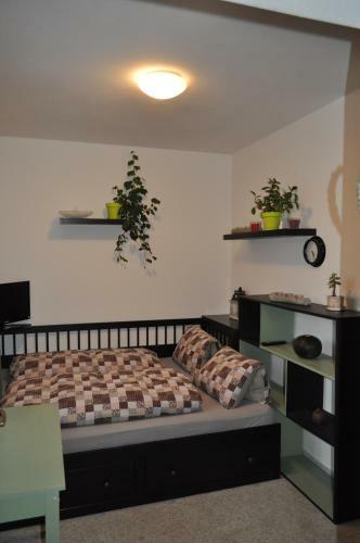 Hostal Penzion Doman�n