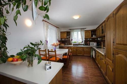 Hostal Penzion Doman�n