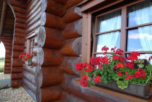 Apartamento U Srubu Sychrov