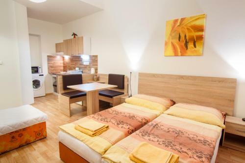 Apartment Centrum