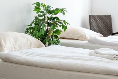 Apartm�ny Hradebn�