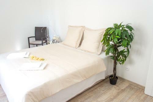 Apartm�ny Hradebn�