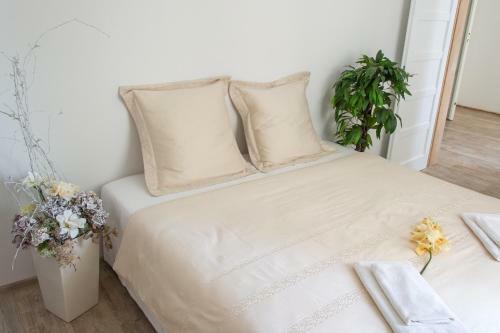 Apartm�ny Hradebn�