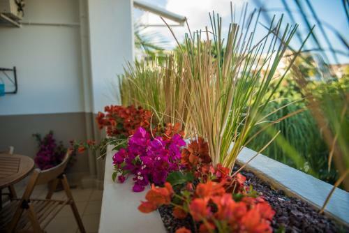 Apartamento Appartement Comptoir 31