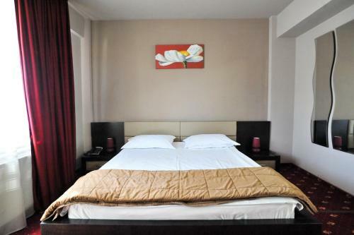 Hostal Pensiunea Novis