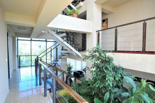 Hostal Pensiunea Novis