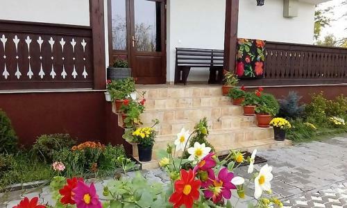 Hostal Casa Cu Pridvor
