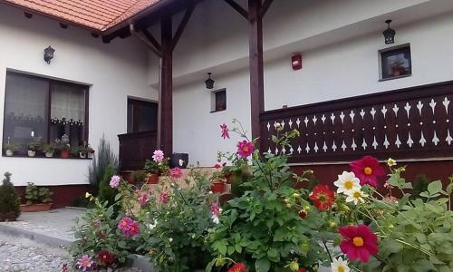 Hostal Casa Cu Pridvor