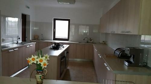 Hostal Casa Cu Pridvor