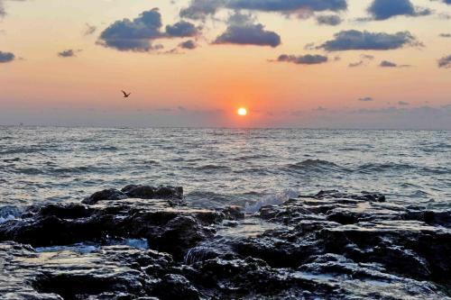 Apartamento Sea View Studio Mamaia