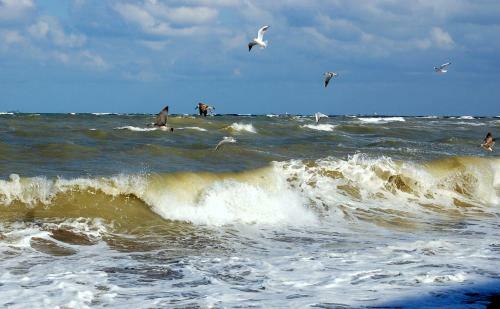 Apartamento Sea View Studio Mamaia