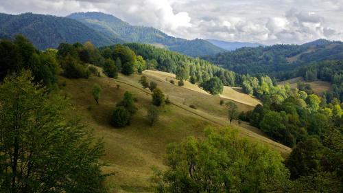 Woodenhouse Maramures