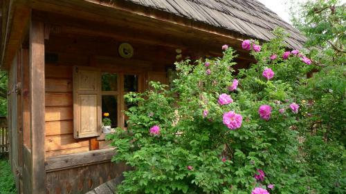 Woodenhouse Maramures