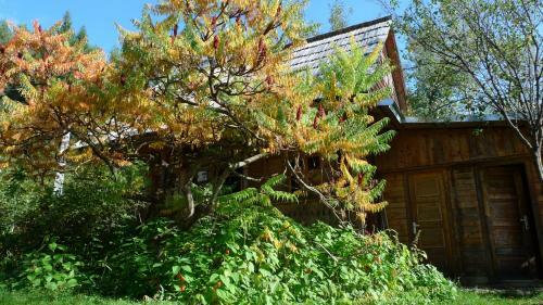 Woodenhouse Maramures