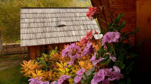 Woodenhouse Maramures
