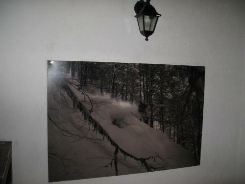 Hostal Omela Chalet