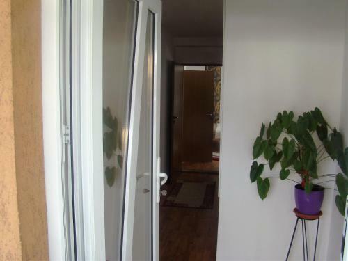 Hostal Guest House Andrei