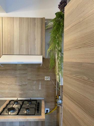 Argos Summerland Apartment