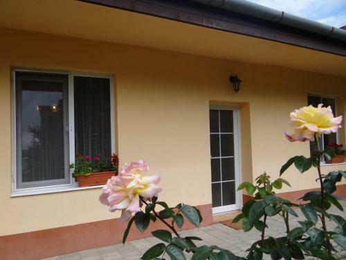 Garden Apartment