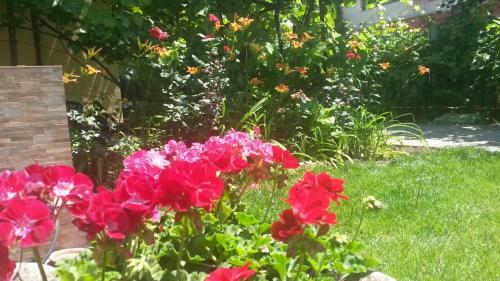Garden Apartment