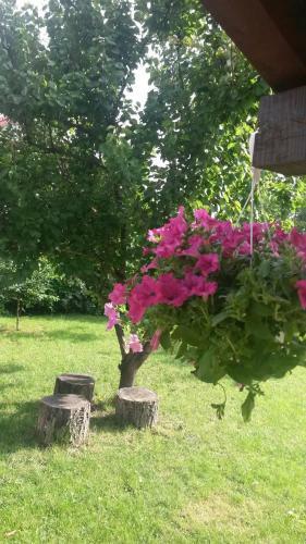 Garden Apartment