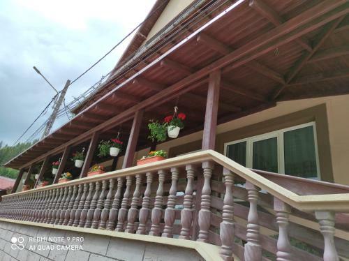 Hostal Pensiunea Viorica