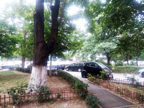 Apartament Dana "arhb Simetrie"