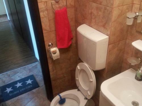 Apartament Dana "arhb Simetrie"