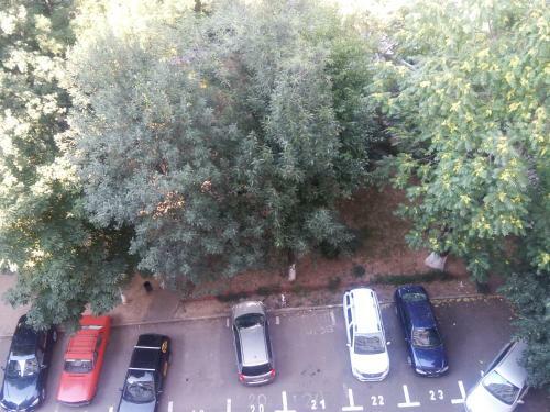 Apartament Dana "arhb Simetrie"
