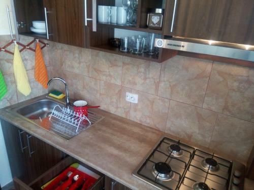 Apartament Dana "arhb Simetrie"