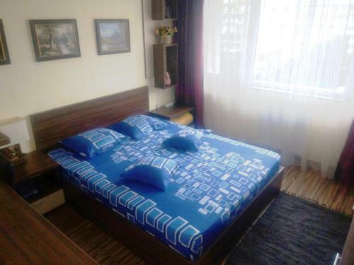 Apartament Dana "arhb Simetrie"