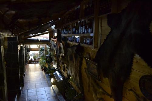 Hostal Pension Speranta