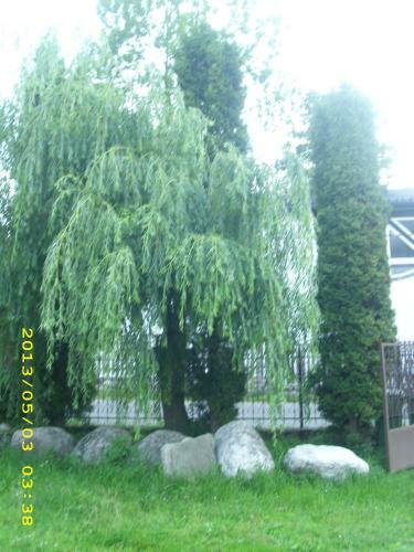 Hostal Pensiunea Belvedere