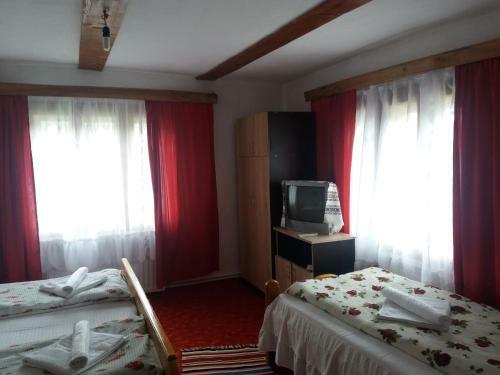 Hostal Pensiunea Letitia