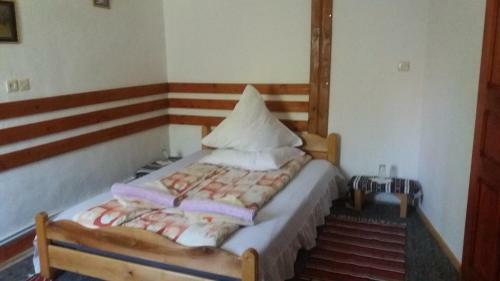 Hostal Pensiunea Letitia