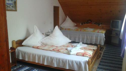 Hostal Pensiunea Letitia
