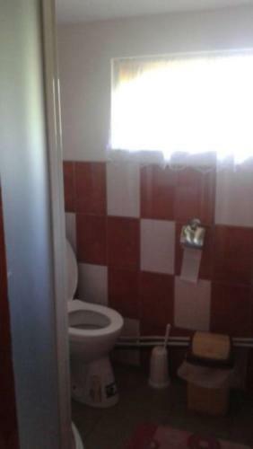 Hostal Pensiunea Letitia