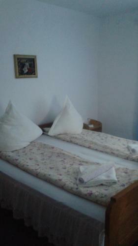Hostal Pensiunea Letitia