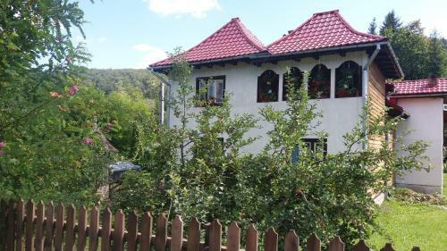 Hostal Pensiunea Letitia