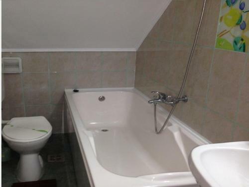 Hostal Vila Marina Sulina