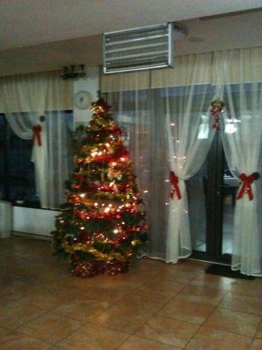 Hostal Pensiunea Ancora