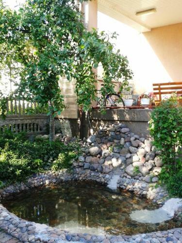 Hostal Guest House Trigona