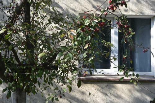 Apartamento Jupiter Residence