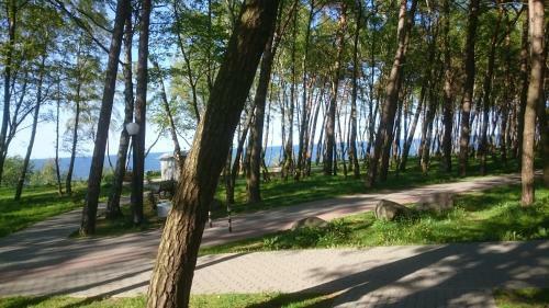 Apartamento Pionersk
