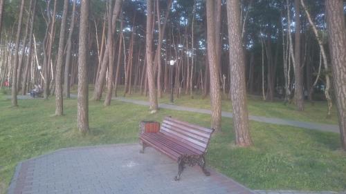 Apartamento Pionersk